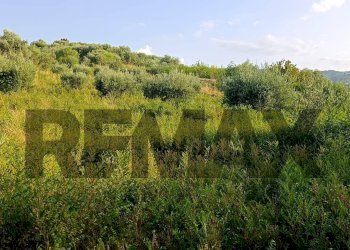 Vista delle montagne - Terreno agricolo cta Cannata
SNC, Corigliano-Rossano - foto 1