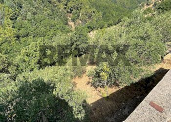 Vista delle montagne - Villa contrada foresta
 
snc, Acri - foto 14