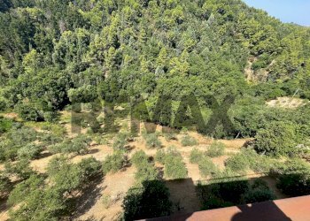 Vista delle montagne - Villa contrada foresta
 
snc, Acri - foto 15