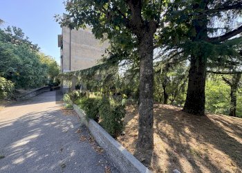 Giardino - Two-room apartment VIA COLORNI
 
4, Trieste - photo 15
