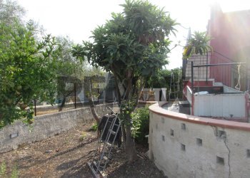 Giardino - Villa Via Rosolini (Villasmundo)
 
7, Melilli - foto 50