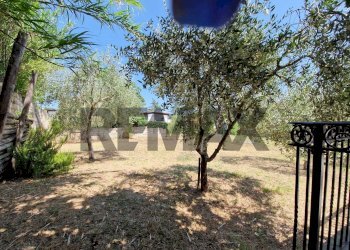 Giardino - Villa Via Venna
 
13, Tollo - photo 21