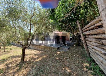 Giardino - Villa Via Venna
 
13, Tollo - photo 23