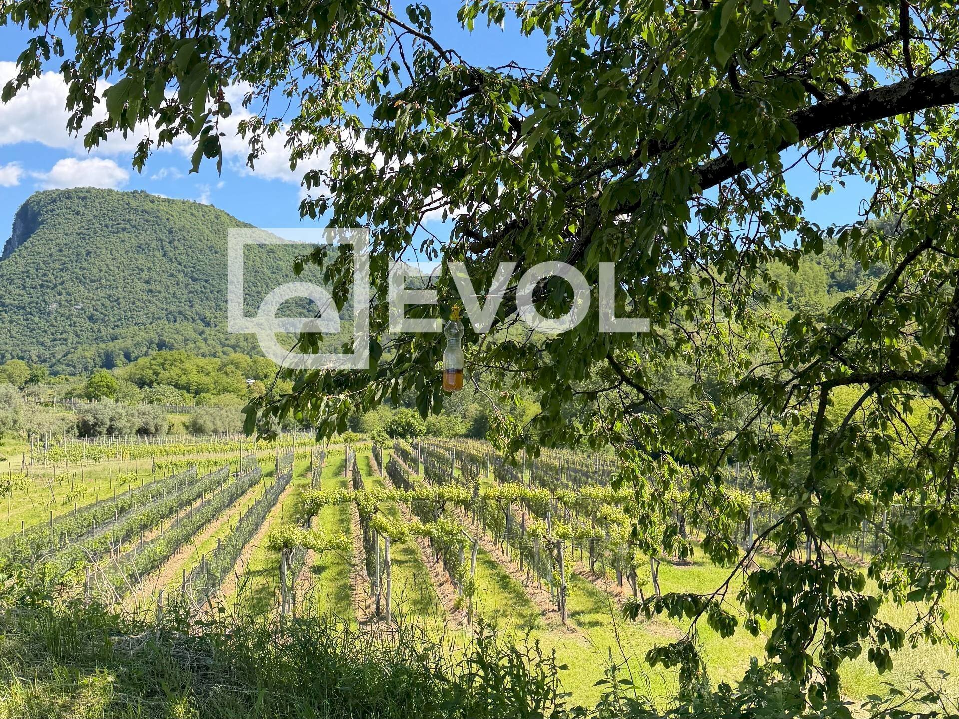 Foto 1 - Farm Via gemona
 
5, Cividale del Friuli - photo 1