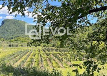 Foto 1 - Farm Via gemona
5, Cividale del Friuli - photo 1