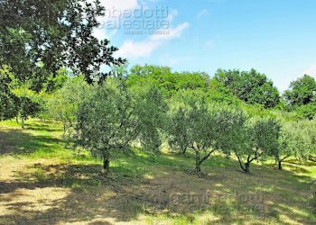 Foto 97 - Villa Urbino - photo 97