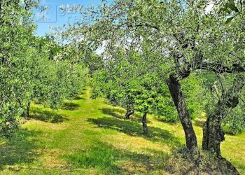 Foto 99 - Villa Urbino - photo 99