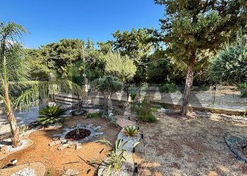 Giardino - Villa contrada chiesazza sperone
 
11, Altavilla Milicia - photo 38