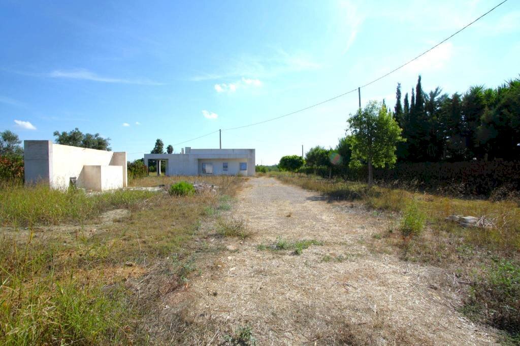 Terreno - Villa strada Vicinale Frasca, Matino - foto 2