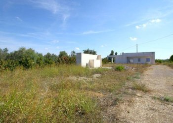 Terreno - Villa strada Vicinale Frasca, Matino - foto 27