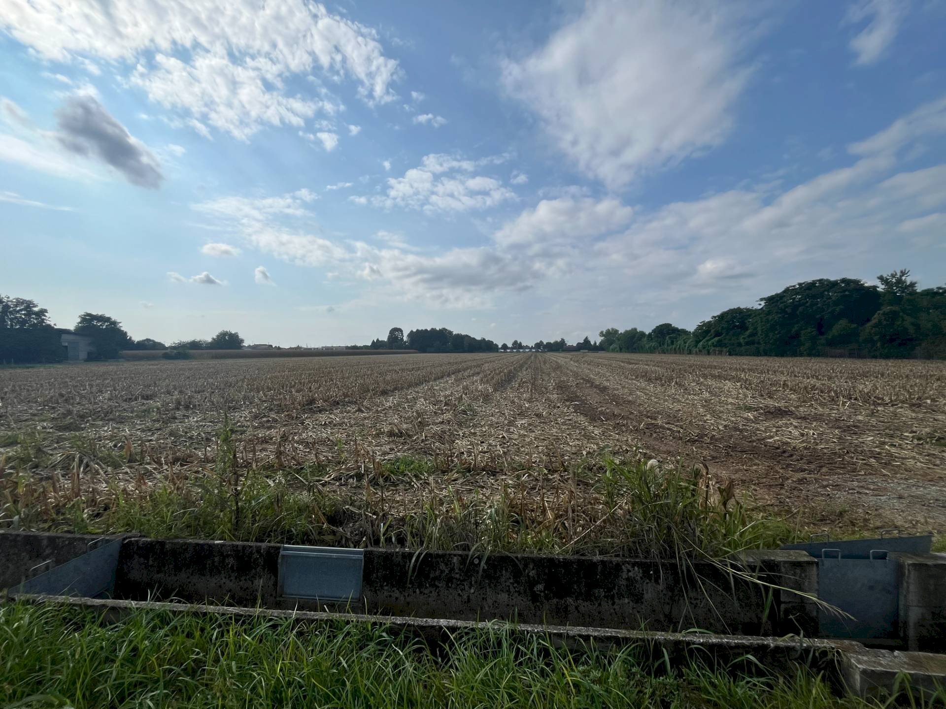 Foto 1 - Terreno agricolo Palazzolo sull'Oglio - foto 1