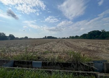 Foto 1 - Terreno agricolo Palazzolo sull'Oglio - foto 1