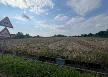 Foto 3 - Terreno agricolo Palazzolo sull'Oglio - foto 3