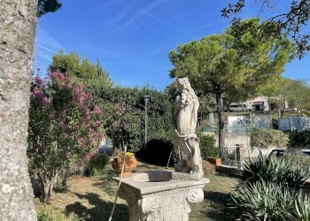 IMG_4414.jpg - Villa VIA chiaravallese, Osimo - photo 14