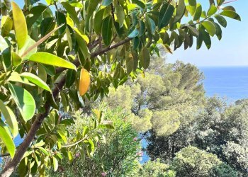 Apartment Tigullio Rocks, Chiavari - photo 39