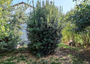 Independent house Via Molar, 41, Envie - photo 21