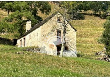 Terreno - Rustic via Cannobio, Malesco - photo 2