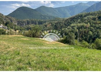 Terreno - Rustic via Cannobio, Malesco - photo 6