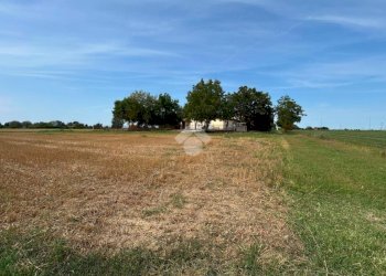 Agricultural land Via Casetti, Anzola dell'Emilia - photo 4