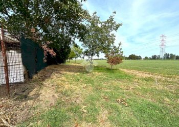 Agricultural land Via Casetti, Anzola dell'Emilia - photo 8