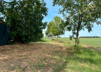 Agricultural land Via Casetti, Anzola dell'Emilia - photo 9