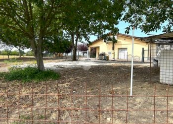 Agricultural land Via Casetti, Anzola dell'Emilia - photo 10