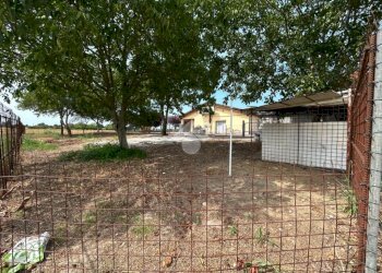 Agricultural land Via Casetti, Anzola dell'Emilia - photo 11