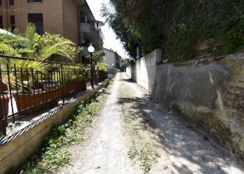 Foto 38 - Laboratorio Via Padre Sigismondo Damiani, San Benedetto del Tronto - foto 38