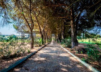 Giardino - Villa Strada Statale 124
 
snc, Grammichele - foto 4