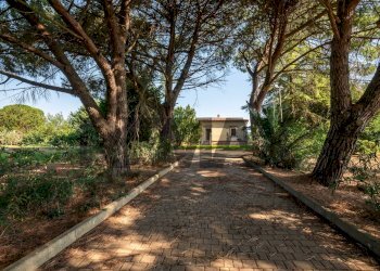 Giardino - Villa Strada Statale 124
 
snc, Grammichele - foto 6
