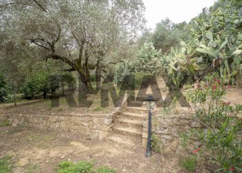 Giardino - Villa C.da Cannarozzo
 
snc, Piazza Armerina - photo 13