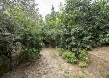 Giardino - Villa C.da Cannarozzo
 
snc, Piazza Armerina - photo 14