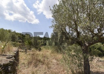 Non correlato - Terreno agricolo Contrada Vallebionda
1/E, Randazzo - foto 29