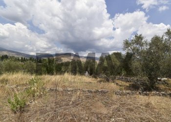 Vista delle montagne - Terreno agricolo Contrada Vallebionda
1/E, Randazzo - foto 32
