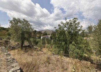 Vista delle montagne - Terreno agricolo Contrada Vallebionda
1/E, Randazzo - foto 35