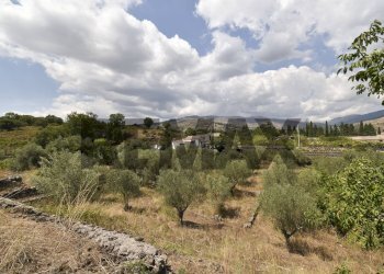 Vista delle montagne - Terreno agricolo Contrada Vallebionda
1/E, Randazzo - foto 36