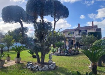 Giardino - Casa indipendente Via Luigi Boccherini
15, Anzio - foto 12