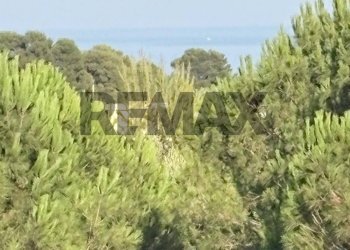 Vista delle montagne - Apartment VIA VERONA
 
27, Augusta - photo 18