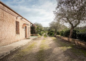 Giardino - Independent house S. V. Li Curuneddi Tronco A
 
snc, Sassari - photo 36