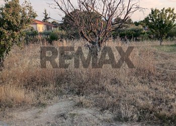 Giardino - Building land Via San Silvestro Colle
10, Pescara - photo 6