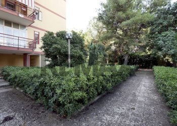Giardino - Quadrilocale Via Colonnello Lorenzo D'avanzo
 
1, Bari - foto 20