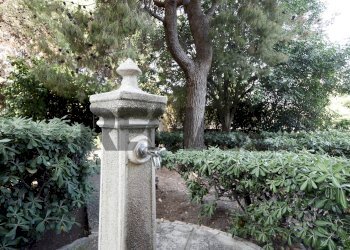 Giardino - Quadrilocale Via Colonnello Lorenzo D'avanzo
 
1, Bari - foto 21