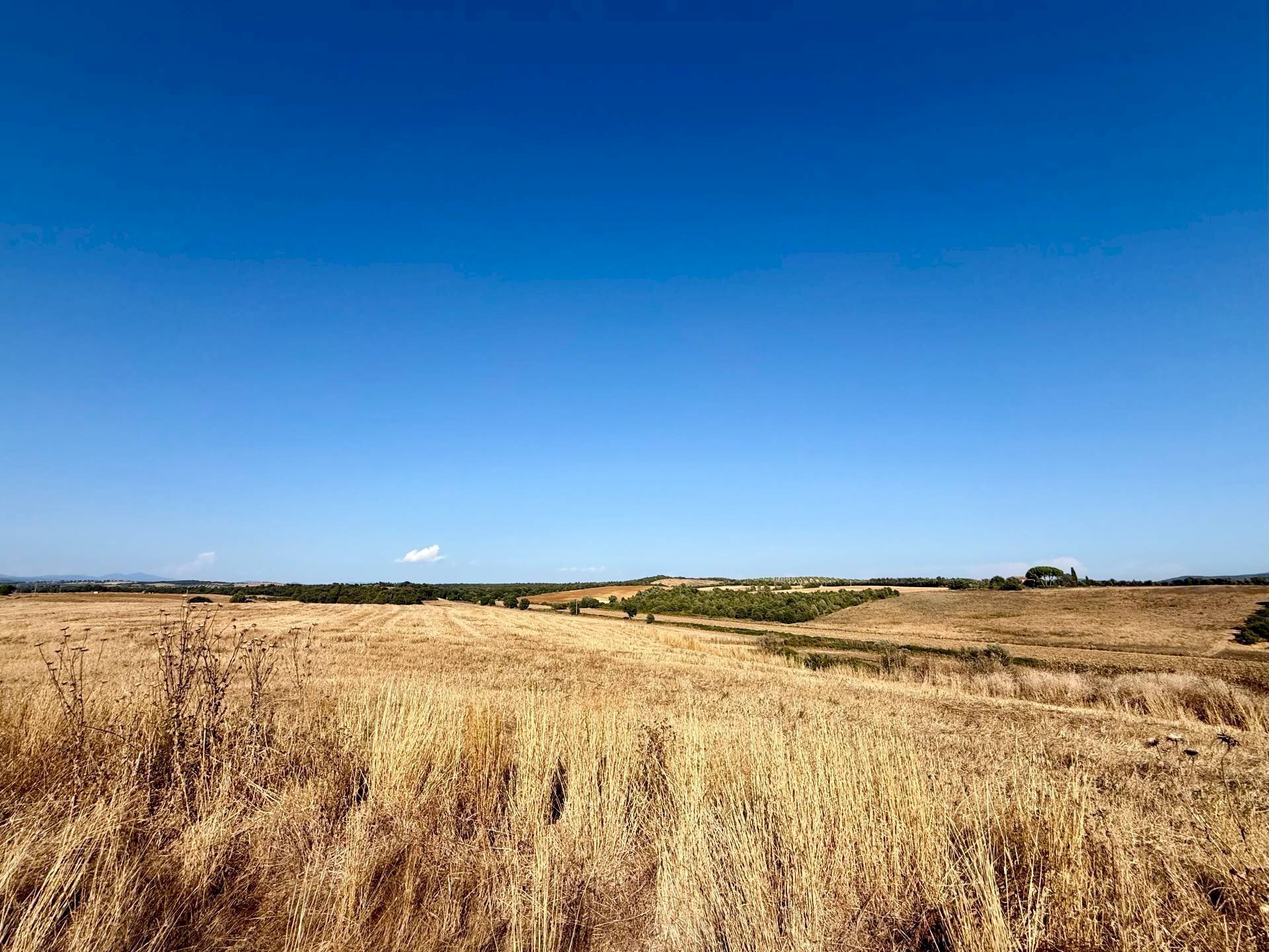 Foto 1 - Villa Santa Virginia, Magliano in Toscana - foto 1
