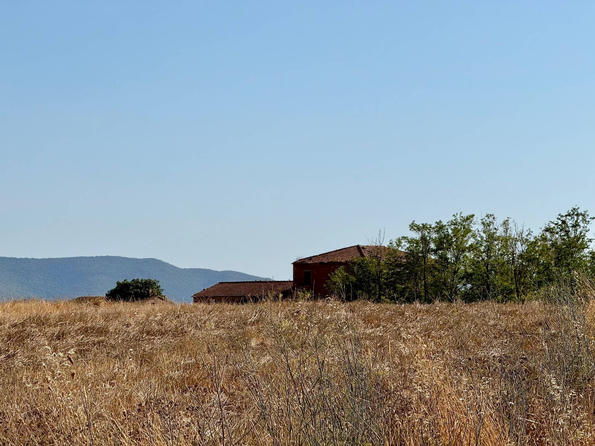 Foto 3 - Villa Santa Virginia, Magliano in Toscana - foto 3