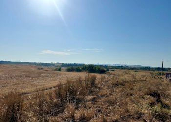 Foto 12 - Villa Santa Virginia, Magliano in Toscana - foto 12