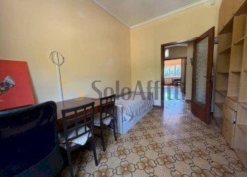 WhatsApp Image 2026-07-25 at 12.27.03 (1) - Apartment Frosinone - photo 5