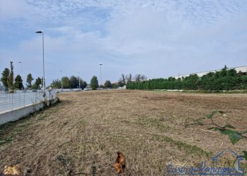 Immagine WhatsApp 2024-11-06 ore 11.04.37_c82b433d - Terreno edificabile Via Achille Grandi, Rimini - foto 16