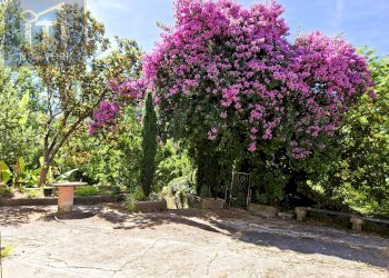 Foto 20 - Independent house VIA TUFO, Cassino - photo 20