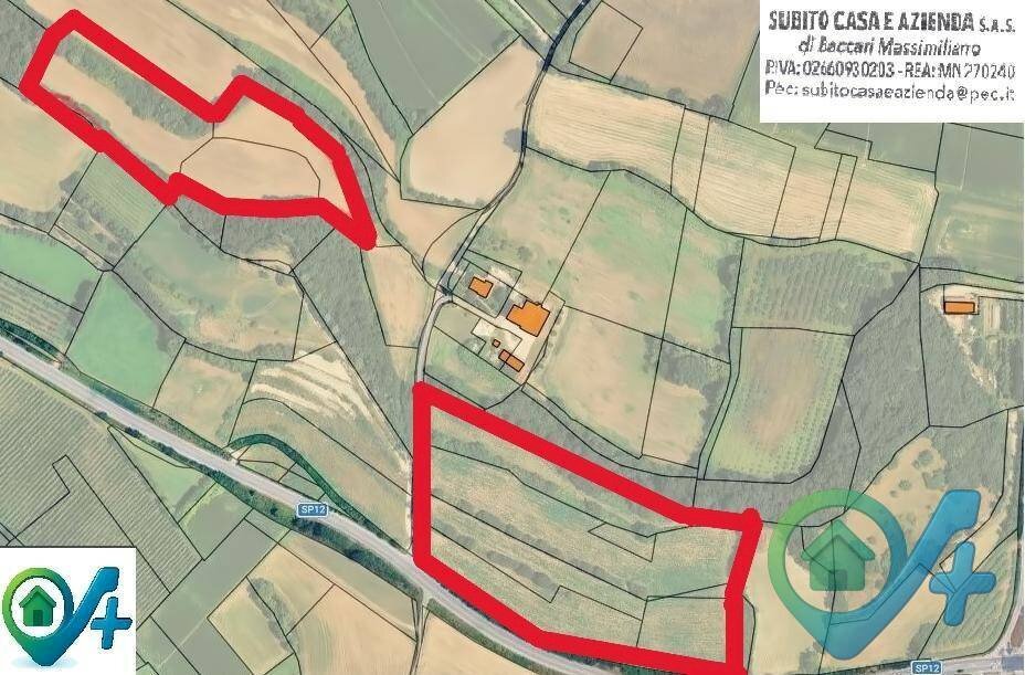 Foto 1 - Terreno agricolo Castiglione delle Stiviere - foto 1