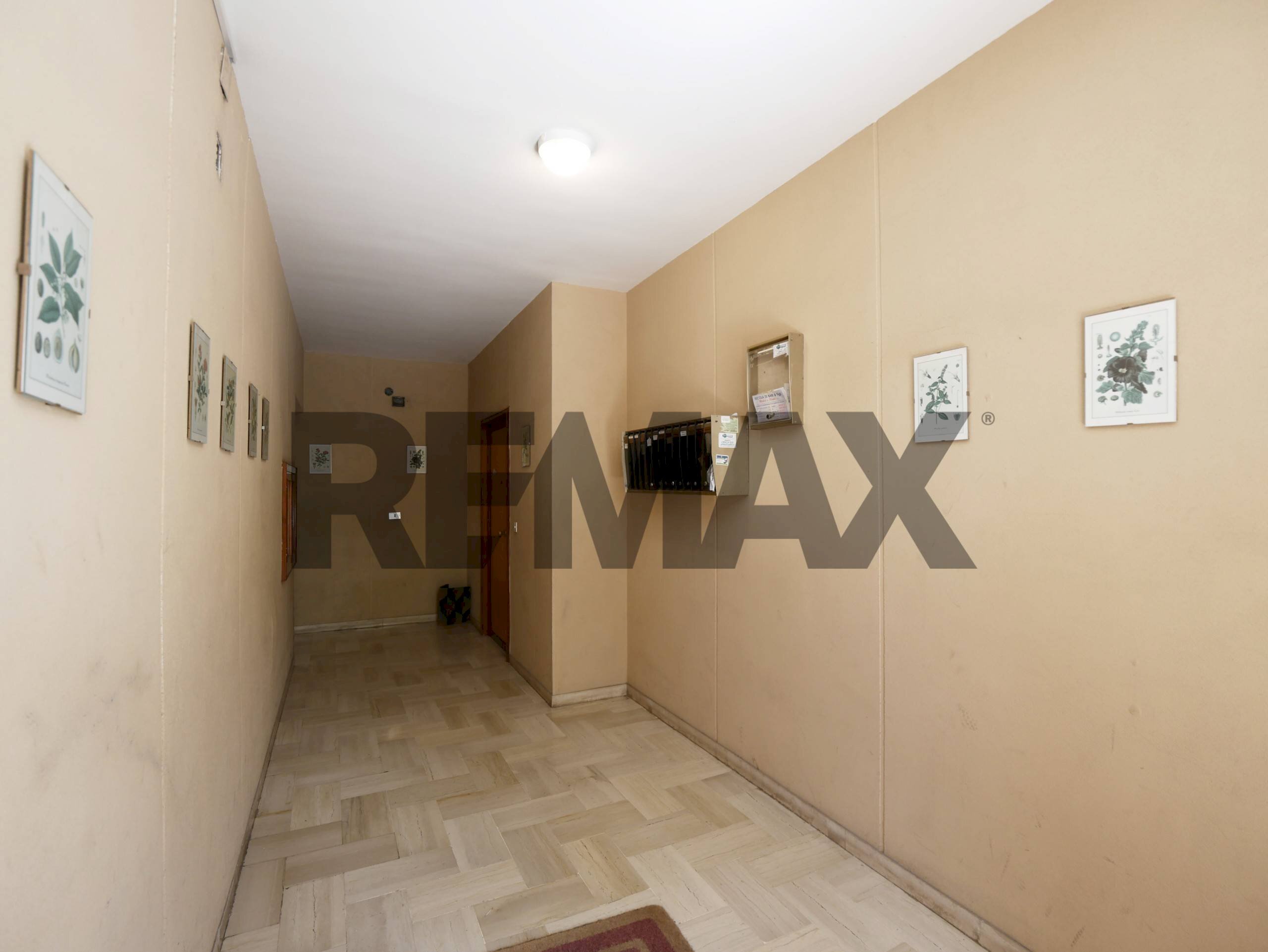 Hall / corridoio - Appartamento Piazza Trieste
20, Adelfia - foto 3